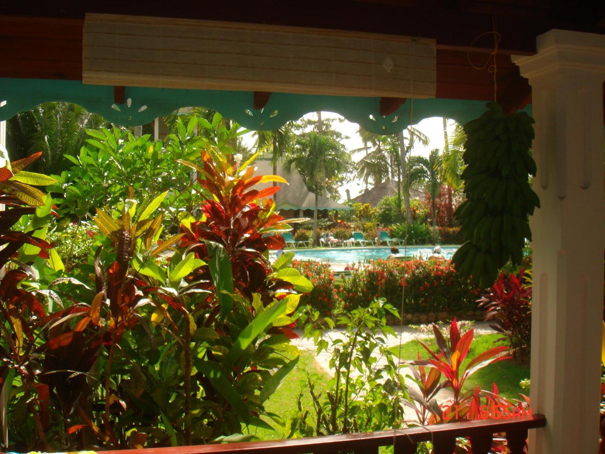 Hotel Playa Colibri 라스테레나스 외부 사진